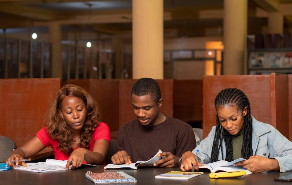 study-group-african-people_23-2149156385